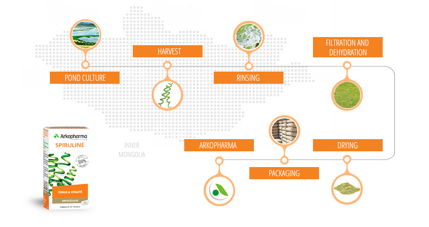 The manufacturing process for spirulina