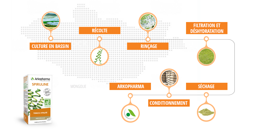 Le procédé de fabrication de la spiruline