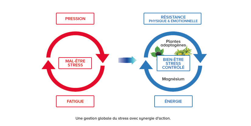 gestion du stress