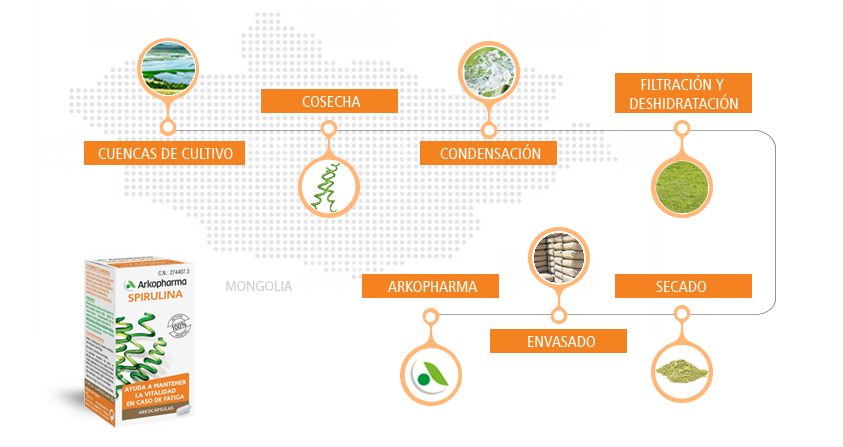 El proceso de fabricación de la espirulina
