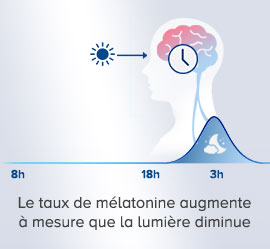 Le taux de mélatonine augmente à mesure que la lumière diminue