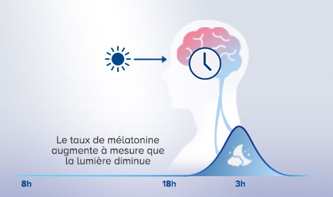 Le taux de mélatonine augmente à mesure que la lumière diminue