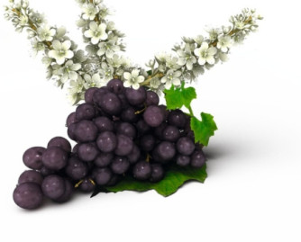 El resveratrol