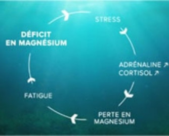 Les origines d'un déficit en magnésium