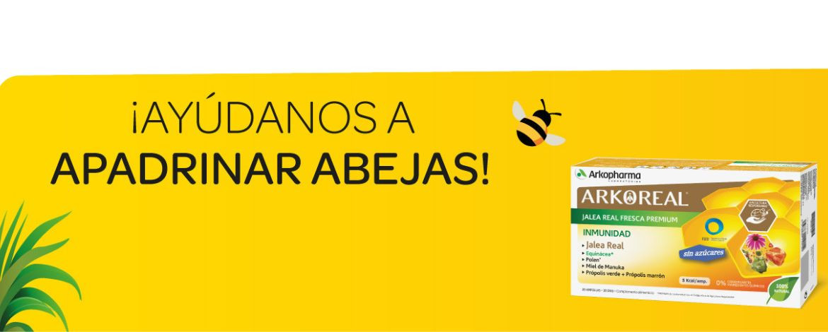 La importancia de las abejas