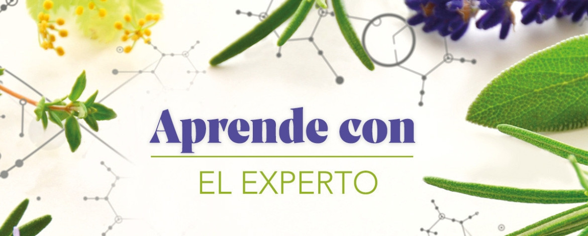 Aprende con el experto: el harpagofito, la garra del diablo